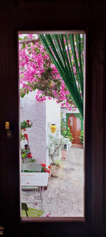 La Buganvilla De Juana Y Antonio Casares Buitenkant foto