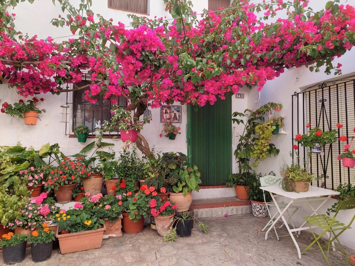 La Buganvilla De Juana Y Antonio Casares Buitenkant foto
